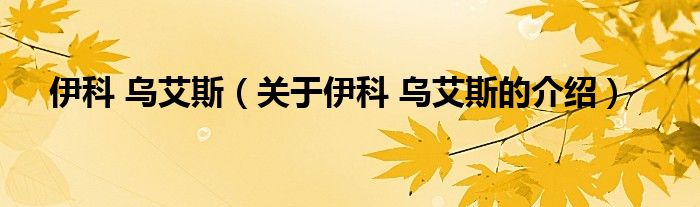 伊科 乌艾斯（关于伊科 乌艾斯的介绍）