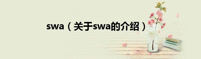 swa（关于swa的介绍）