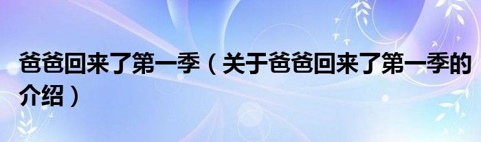 爸爸回来了第一季（关于爸爸回来了第一季的介绍）