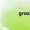 groza（关于groza的介绍）