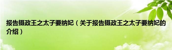 报告摄政王之太子要纳妃（关于报告摄政王之太子要纳妃的介绍）