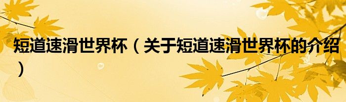短道速滑世界杯（关于短道速滑世界杯的介绍）