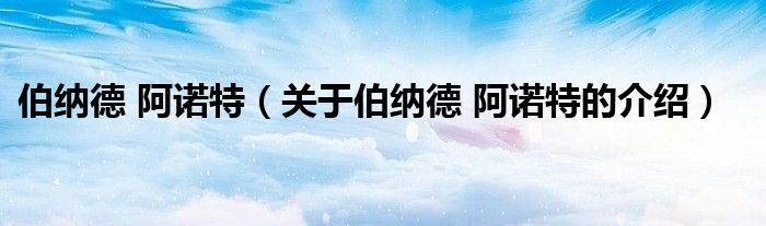 伯纳德 阿诺特（关于伯纳德 阿诺特的介绍）