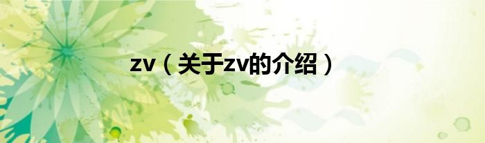 zv（关于zv的介绍）