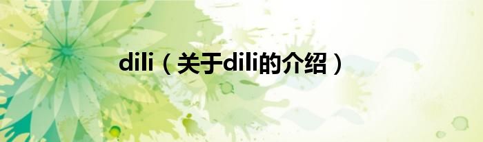 dili（关于dili的介绍）