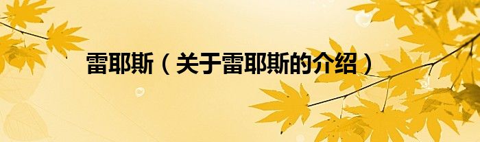 雷耶斯（关于雷耶斯的介绍）