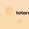 totoro（关于totoro的介绍）