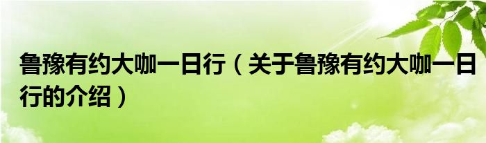 鲁豫有约大咖一日行（关于鲁豫有约大咖一日行的介绍）