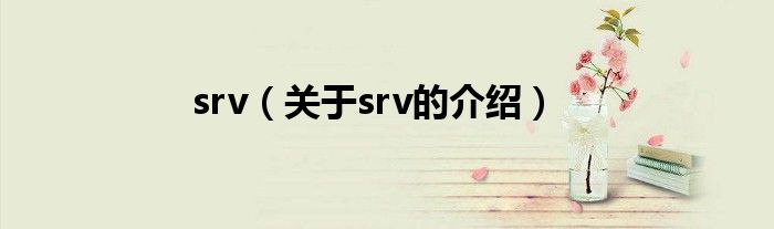 srv（关于srv的介绍）