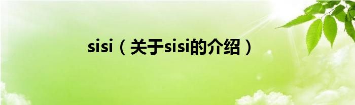 sisi（关于sisi的介绍）