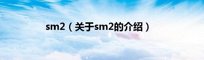 sm2（关于sm2的介绍）