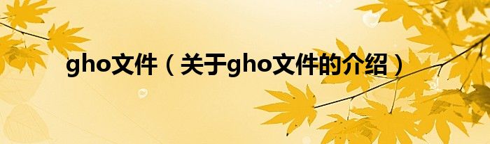 gho文件（关于gho文件的介绍）