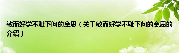 敏而好学不耻下问的意思（关于敏而好学不耻下问的意思的介绍）