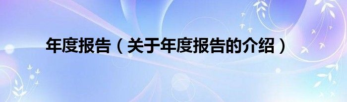 年度报告（关于年度报告的介绍）