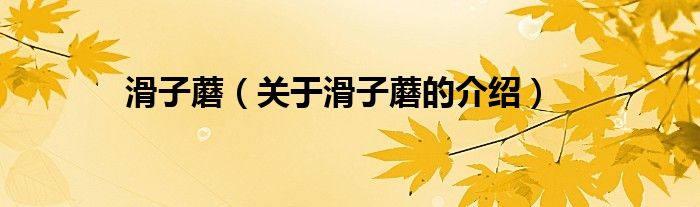 滑子蘑（关于滑子蘑的介绍）