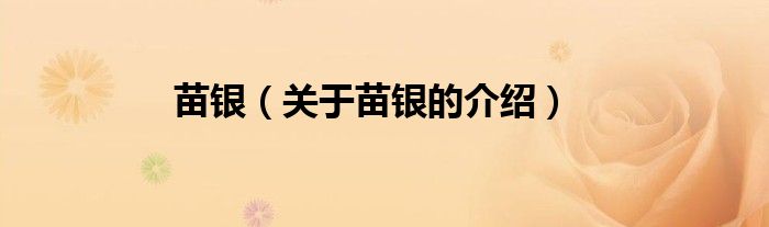 苗银（关于苗银的介绍）