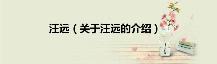 汪远（关于汪远的介绍）