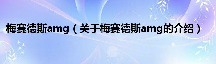 梅赛德斯amg（关于梅赛德斯amg的介绍）