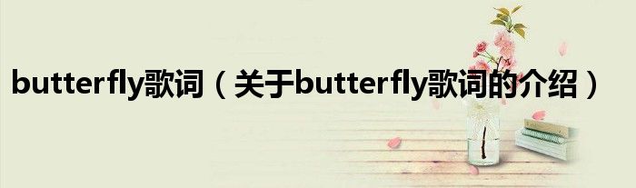 butterfly歌词（关于butterfly歌词的介绍）