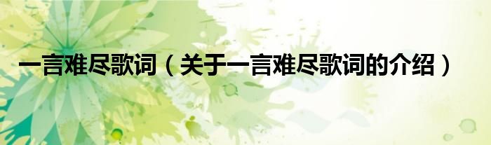 一言难尽歌词（关于一言难尽歌词的介绍）