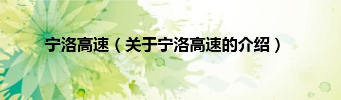 宁洛高速（关于宁洛高速的介绍）