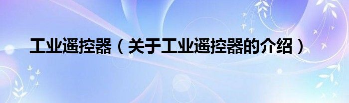 工业遥控器（关于工业遥控器的介绍）
