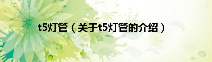 t5灯管（关于t5灯管的介绍）
