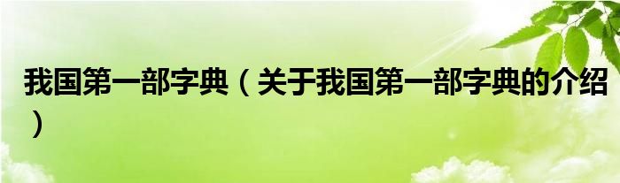 我国第一部字典（关于我国第一部字典的介绍）