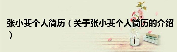 张小斐个人简历（关于张小斐个人简历的介绍）