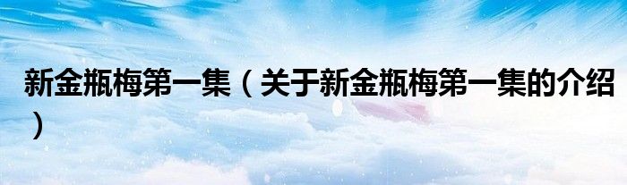 新金瓶梅第一集（关于新金瓶梅第一集的介绍）