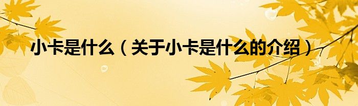 小卡是什么（关于小卡是什么的介绍）