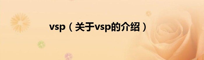 vsp（关于vsp的介绍）