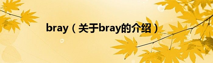 bray（关于bray的介绍）