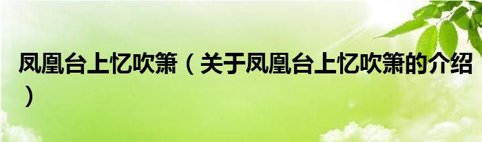 凤凰台上忆吹箫（关于凤凰台上忆吹箫的介绍）