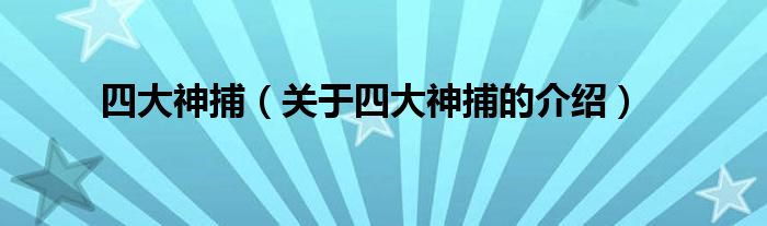 四大神捕（关于四大神捕的介绍）