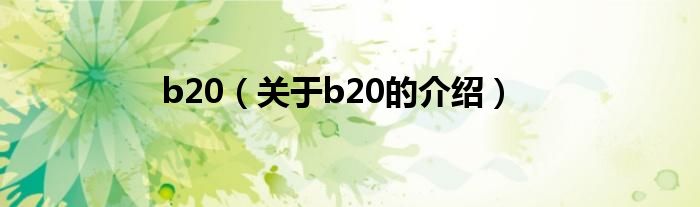 b20（关于b20的介绍）