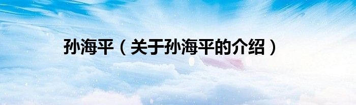 孙海平（关于孙海平的介绍）