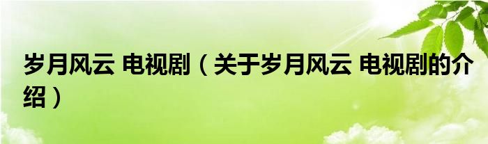 岁月风云 电视剧（关于岁月风云 电视剧的介绍）