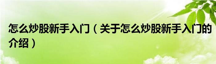 怎么炒股新手入门（关于怎么炒股新手入门的介绍）