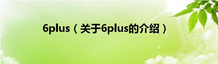 6plus（关于6plus的介绍）