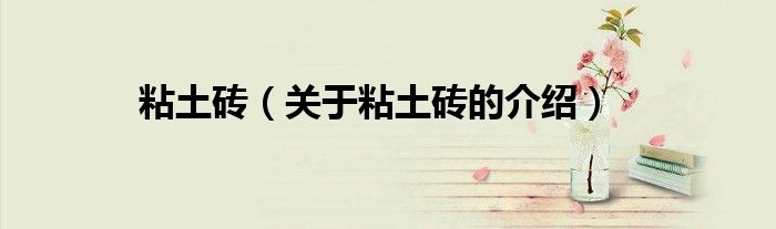 粘土砖（关于粘土砖的介绍）