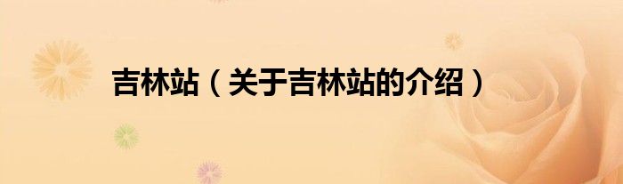 吉林站（关于吉林站的介绍）