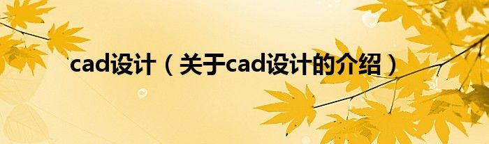 cad设计（关于cad设计的介绍）