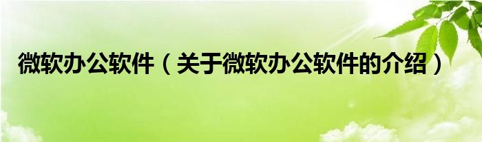 微软办公软件（关于微软办公软件的介绍）