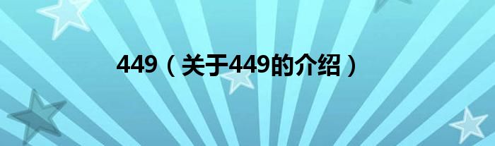 449（关于449的介绍）