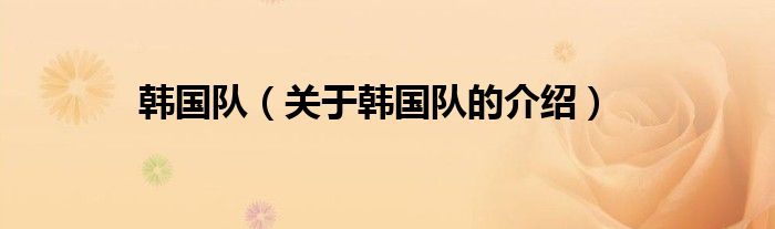 韩国队（关于韩国队的介绍）