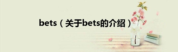 bets（关于bets的介绍）