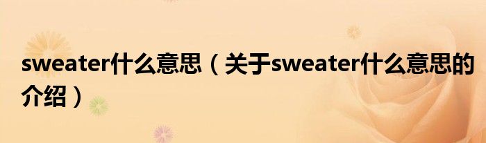 sweater什么意思（关于sweater什么意思的介绍）