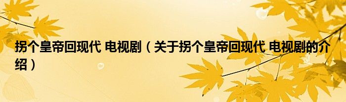 拐个皇帝回现代 电视剧（关于拐个皇帝回现代 电视剧的介绍）
