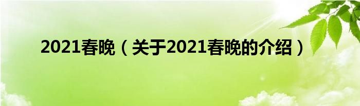 2021春晚（关于2021春晚的介绍）